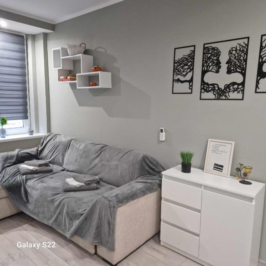 דירות דוז'ניקי ז'דרוז' ,,Apartament W Dusznikach,, מראה חיצוני תמונה